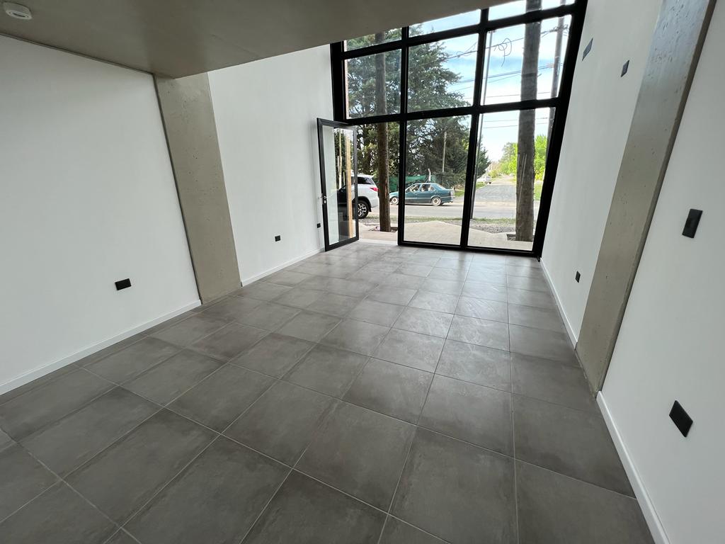 Imagen Local 491 esquina 133 