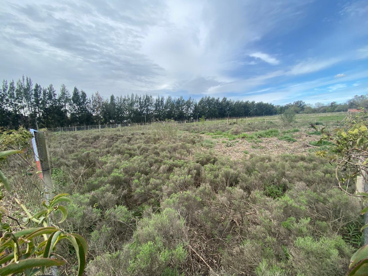 Imagen Terreno Francia