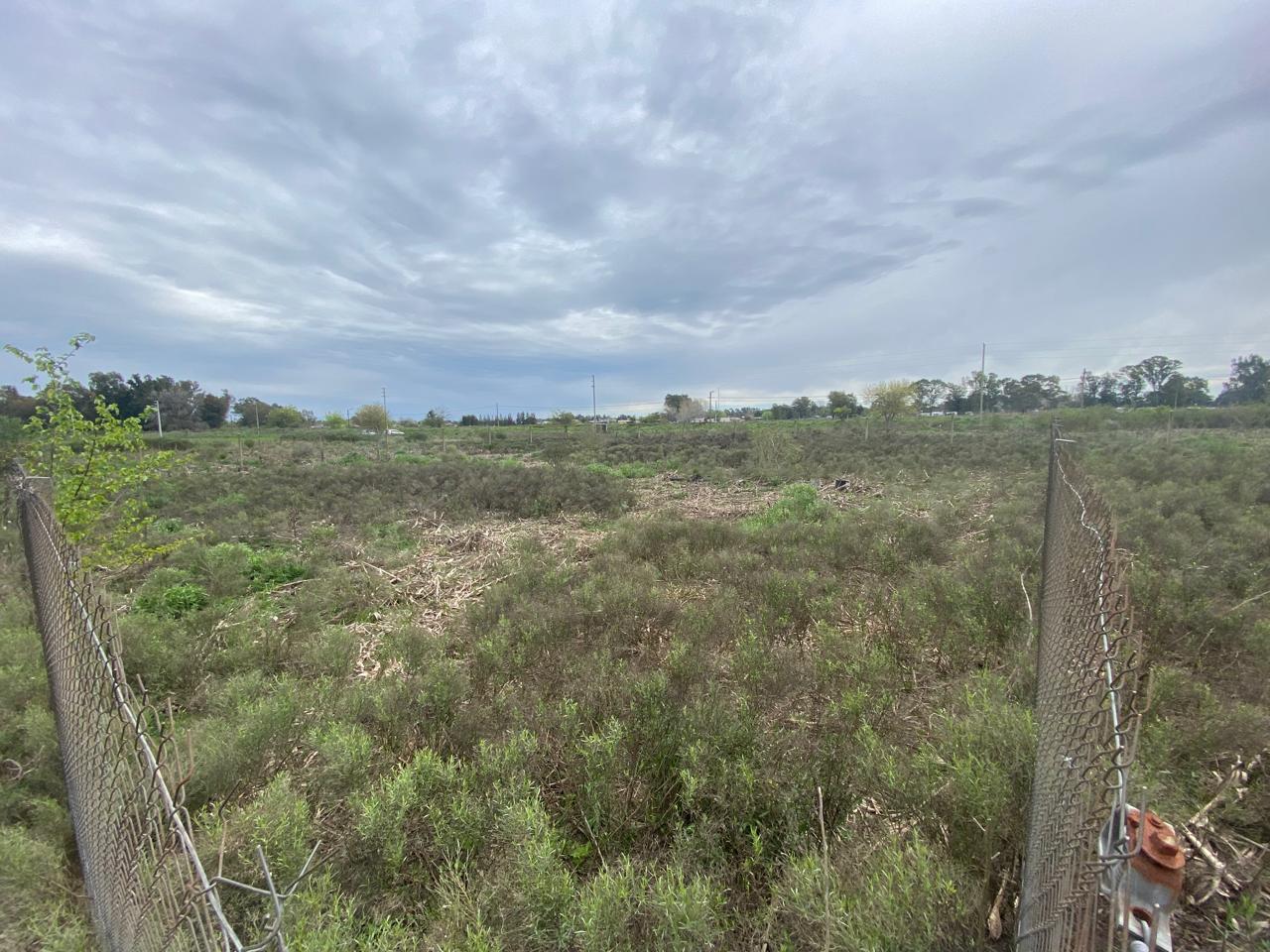 Imagen Terreno Francia