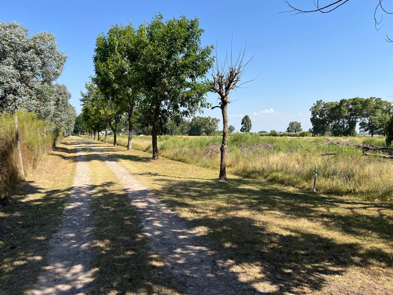 Imagen Casa 610 entre 24 y 25